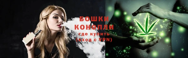 первитин Снежногорск