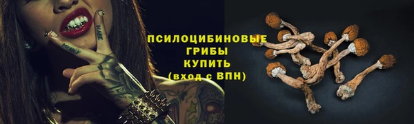 эйфоретик Алексеевка