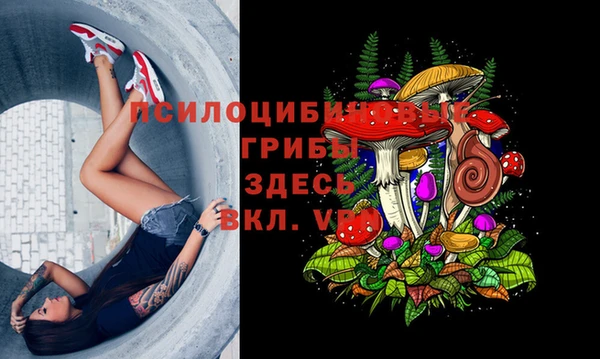 скорость Алзамай