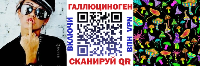 даркнет состав  где купить наркотик  Ельня  Галлюциногенные грибы Psilocybine cubensis 